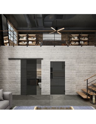 Glasschiebetür BLACK-LINE Loft Schwarzlack 02 Auf Grauglas