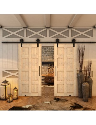 Glasschiebetür BARN-LINE - Country Astkiefer Model 60