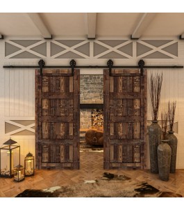 Glasschiebetür BARN-LINE - Country Altholz Astig Model 30