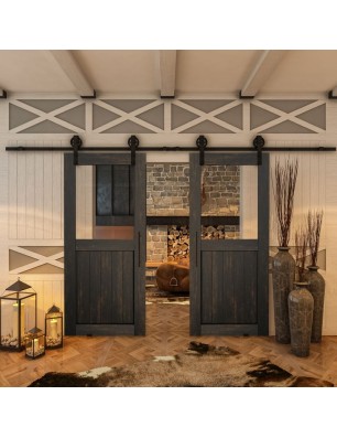 Glasschiebetür BARN-LINE - Country Schwarz gebeizt Model 21
