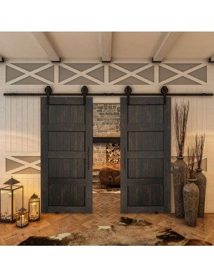 Glasschiebetür BARN-LINE - Country Schwarz gebeizt Model 30
