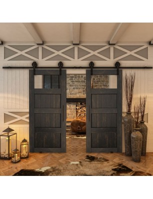 Glasschiebetür BARN-LINE - Country Schwarz gebeizt Model 34