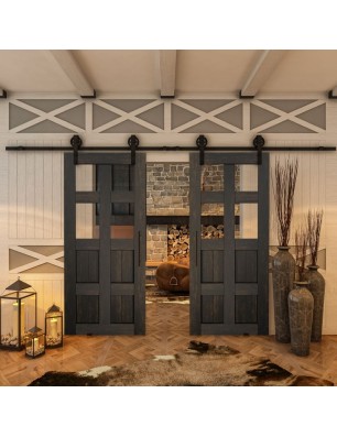 Glasschiebetür BARN-LINE - Country Schwarz gebeizt Model 62