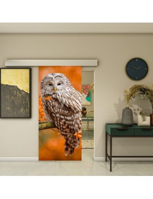 Glasschiebetür ECO-LINE - Fotoprint Model 238