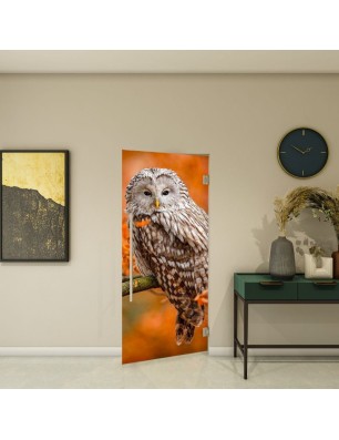 Pendeltür - Fotoprint Model 238 für ein modernes Zuhause