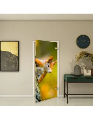 Ganzglastür - Fotoprint Model 237 für ein modernes Zuhause