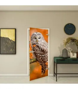 Ganzglastür - Fotoprint Model 238 für ein modernes Zuhause