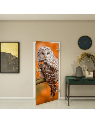Ganzglastür - Fotoprint Model 238 für ein modernes Zuhause
