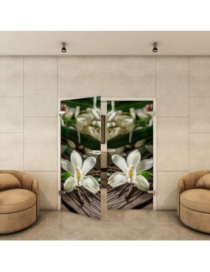 Ganzglastür - Fotoprint Model 57 für ein modernes Zuhause