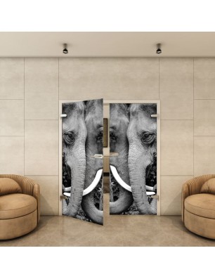 Ganzglastür - Fotoprint Model 222 für ein modernes Zuhause