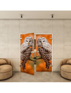 Ganzglastür - Fotoprint Model 238 für ein modernes Zuhause
