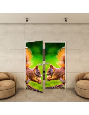 Ganzglastür - Fotoprint Model 246 für ein modernes Zuhause