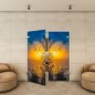 Ganzglastür - Fotoprint Modell 283 Ganzglastür - Fotoprint Modell 283