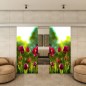 Glasschiebetür ECO-LINE - Fotoprint Modell 282 Glasschiebetür ECO-LINE - Fotoprint Modell 282