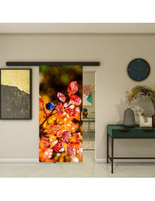 Glasschiebetür BLACK-LINE - Fotoprint Model 188