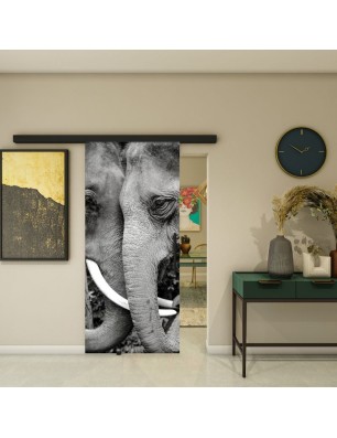 Glasschiebetür BLACK-LINE - Fotoprint Model 222