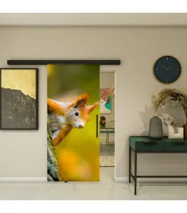 Glasschiebetür BLACK-LINE - Fotoprint Model 237