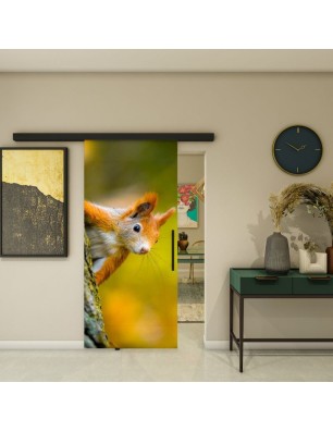 Glasschiebetür BLACK-LINE - Fotoprint Model 237