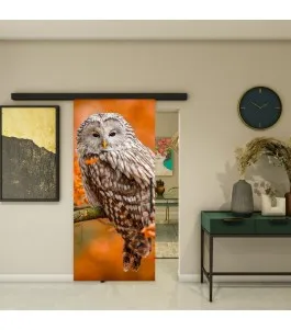 Glasschiebetür BLACK-LINE - Fotoprint Model 238