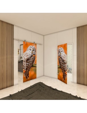 Ganzglastür - Fotoprint Model 238 für ein modernes Zuhause