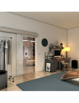Glasschiebetür ECO-LINE - Fineprint Model 007 Weiss auf Klarglas