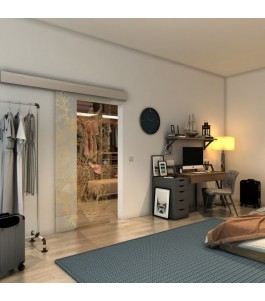 Glasschiebetür ECO-LINE - Fineprint Model 080 Gold auf Klarglas