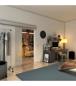Glasschiebetür ECO-LINE - Fineprint Model 119 Gold auf Klarglas
