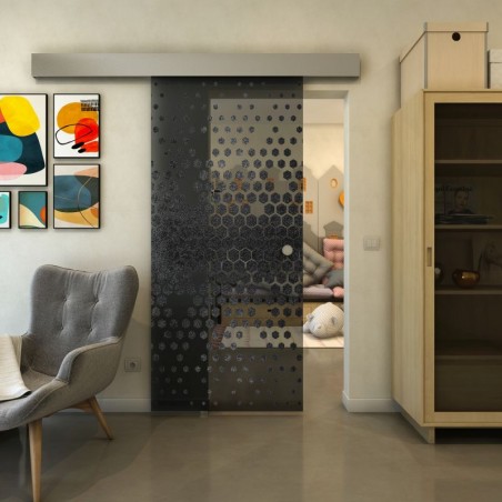 Glasschiebetür ECO-LINE - Fineprint Model 072 Schwarz auf Grauglas