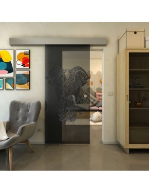 Glasschiebetür ECO-LINE - Fineprint Model 098 Schwarz auf Grauglas