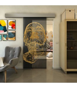 Glasschiebetür ECO-LINE - Fineprint Model 103 Gold auf Grauglas