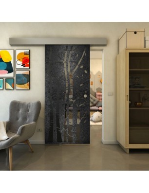 Glasschiebetür ECO-LINE - Fineprint Model 182 Schwarz auf Grauglas