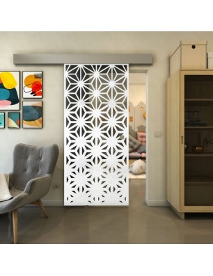 Glasschiebetür ECO-LINE - Fineprint Model 187 Weiss auf Grauglas