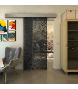 Glasschiebetür ECO-LINE - Fineprint Model 201 Schwarz auf Grauglas