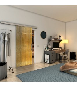 Glasschiebetür SLIM-LINE - Fineprint Model 050 Gold auf Grauglas