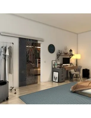 Glasschiebetür SLIM-LINE - Fineprint Model 105 Schwarz auf Grauglas