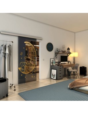Glasschiebetür SLIM-LINE - Fineprint Model 113 Gold auf Grauglas