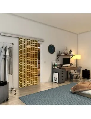 Glasschiebetür SLIM-LINE - Fineprint Model 141 Gold auf Grauglas