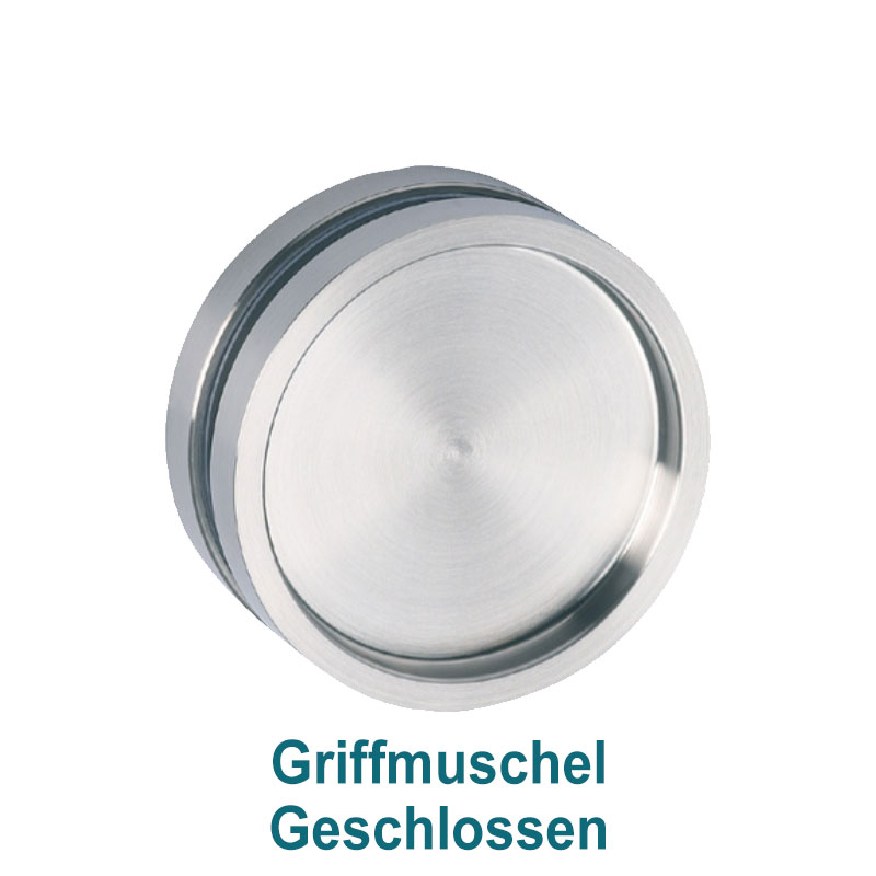 Griffmuschel geschlossen